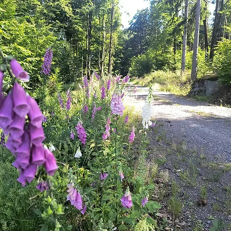 Pod Olbrzymami * Zachelmie (Jelenia Gora)